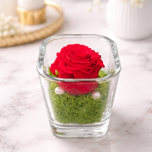 Stabilizovaná ruža červená